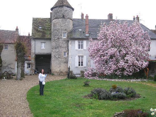 Relais De Chasse Sasu Guta Chantenay-Saint-Imbert Exterior photo